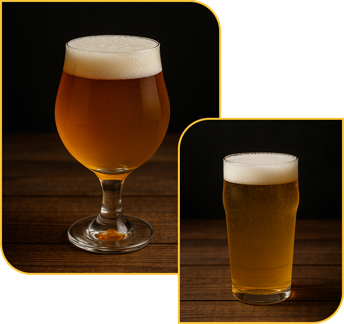 BENEFÍCIOS EXCLUSIVOS DE ASSINANTES